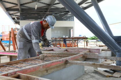 CAPs e animais cênicos do parque Amazonino Mendes em obras