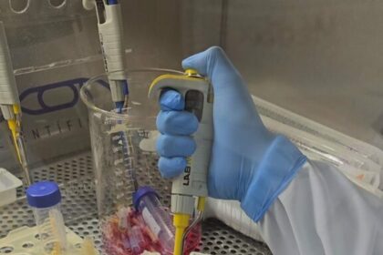 Estudo analisa bioativos naturais como alternativa mais eficaz e menos invasiva no tratamento do câncer
