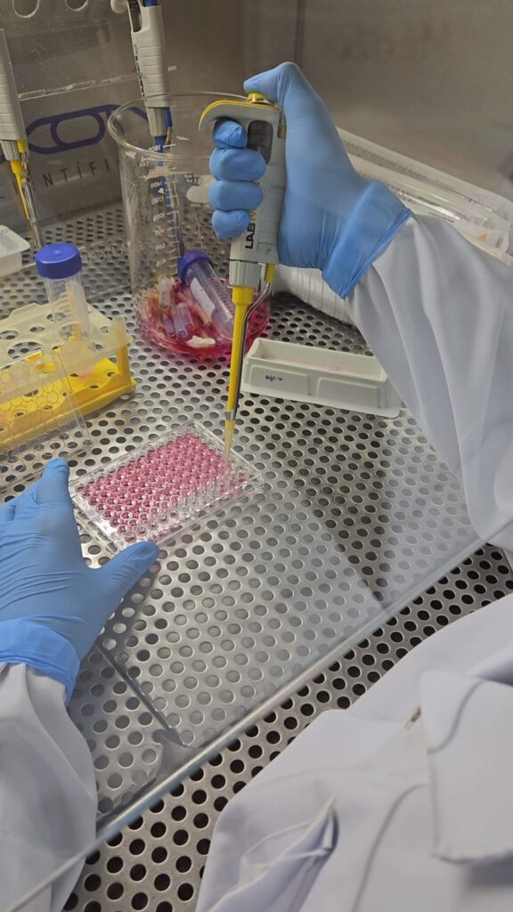 Estudo analisa bioativos naturais como alternativa mais eficaz e menos invasiva no tratamento do câncer