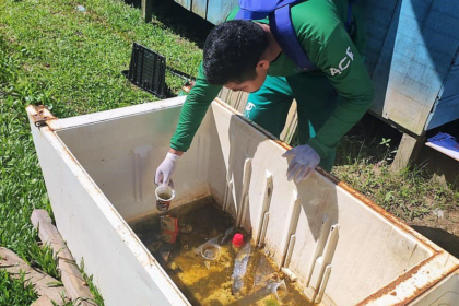 Dengue: Amazonas apresenta médio risco para circulação de Aedes aegypti, aponta 4º levantamento de índice do mosquito