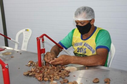 Apoio ao cooperativismo, associativismo e às agroindústrias foi priorizado pelo Idam em 2023