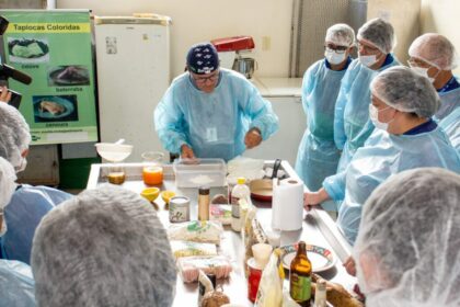 Técnicos e produtores rurais: Idam contabiliza mais 17 mil capacitações em 2023