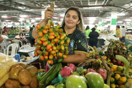 Safra da Pupunha: fruto é destaque nas feiras da ADS