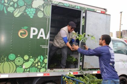 Idam recebe mudas que serão cultivadas em Unidade Demonstrativa (UD) do Guaraná