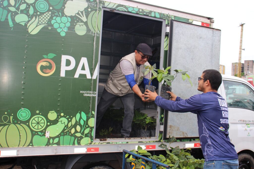 Idam recebe mudas que serão cultivadas em Unidade Demonstrativa (UD) do Guaraná