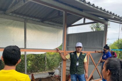 Agricultores familiares e pequenos avicultores recebem capacitação em Presidente Figueiredo