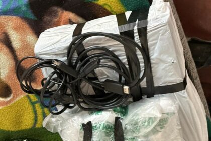 Polícia Civil prende mulher por aplicar golpes de estelionato em sites de compra e venda