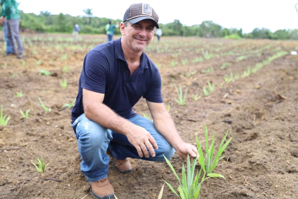 Governo do Amazonas lança projeto-piloto da produção de fibra do curauá em Itacoatiara