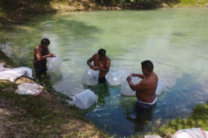 Edital do PAA Indígena no Amazonas prevê inscrições até o dia 20 de janeiro