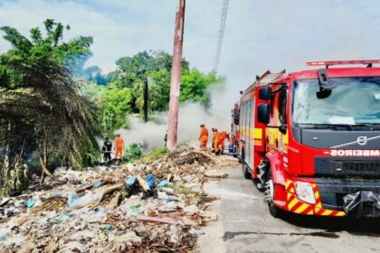 Em ação rápida, bombeiros evitam propagação de incêndio para área de mata no Distrito Industrial