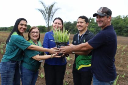 Governo do Amazonas inicia plantio do curauá para dar suporte à indústria