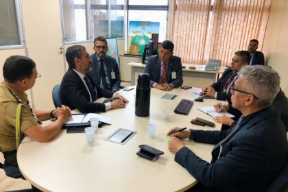 Deputado Dan Câmara se reúne com Secretaria Nacional de Segurança Pública