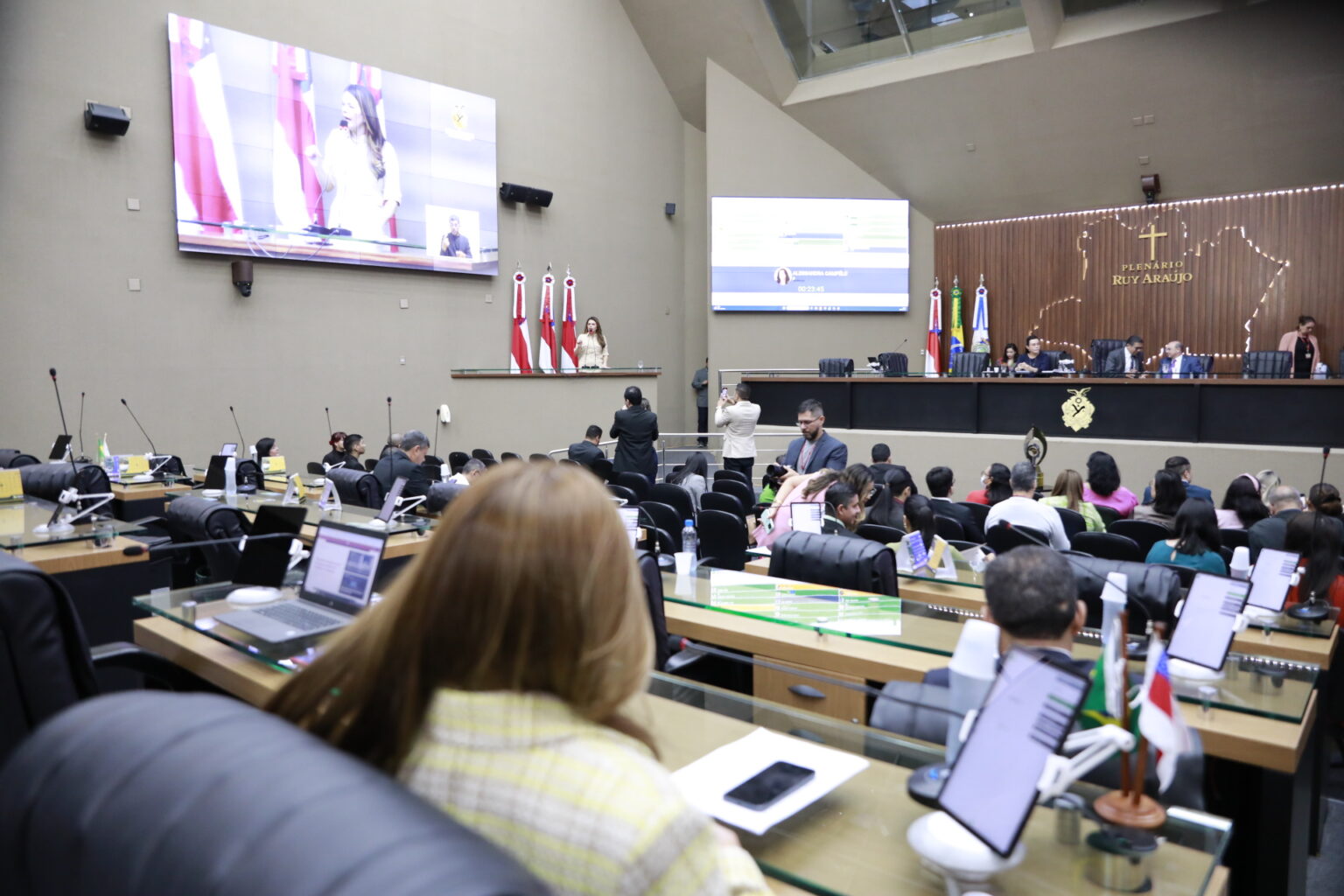Deputados destacam aniversário da Suframa e prestam solidariedade à vereadora Professora Jacqueline da CMM