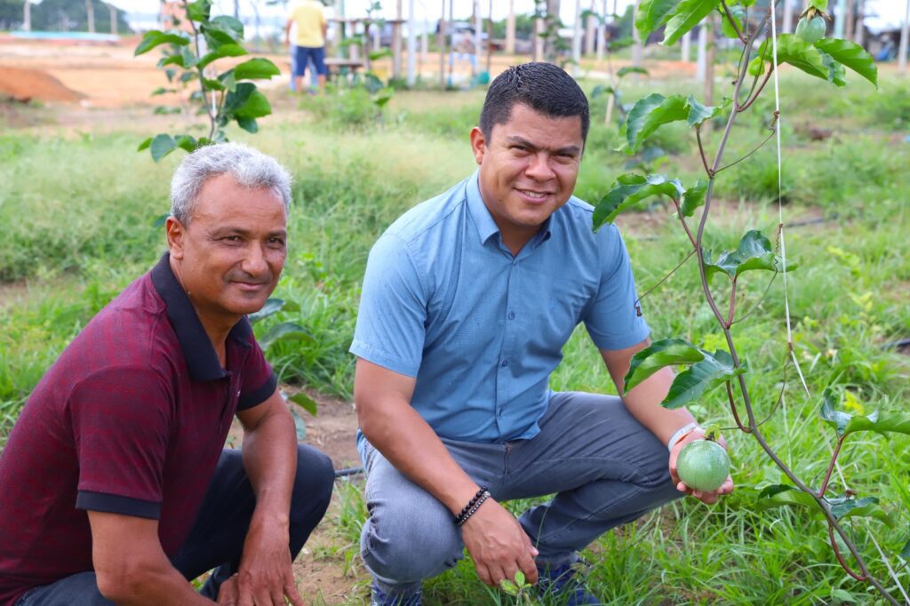 Sistema de irrigação contribui para a produção de maracujá e mamão em Iranduba