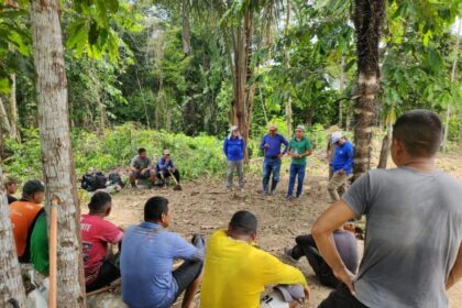 Idam acompanha a implantação de Unidades de Referência Tecnológica para a Cultura da Banana em Tefé