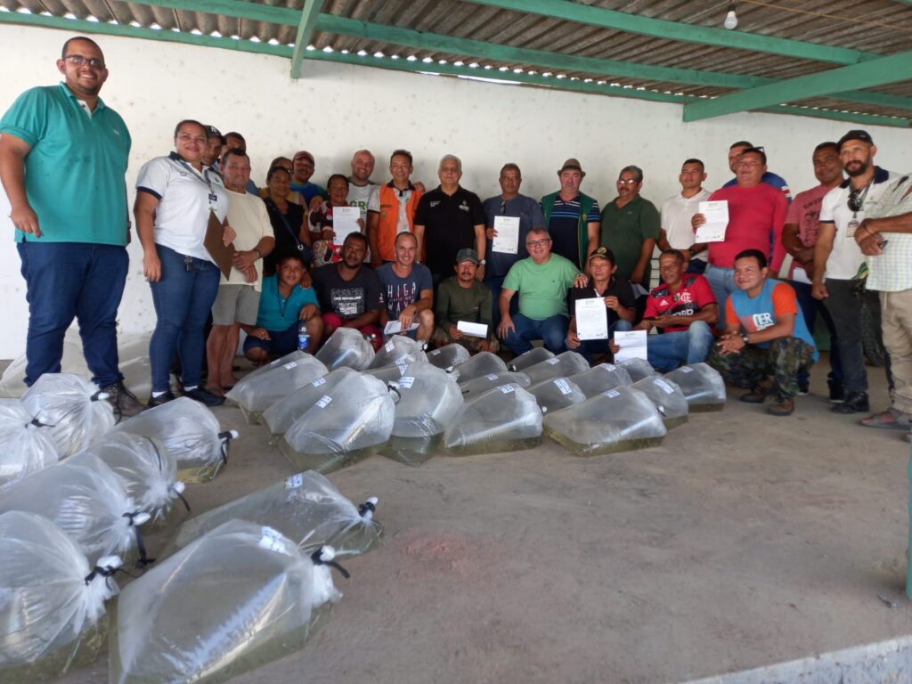 Sepror entrega 90 mil alevinos em Rio Preto da Eva e chega a 379 mil alevinos entregues em todo o estado