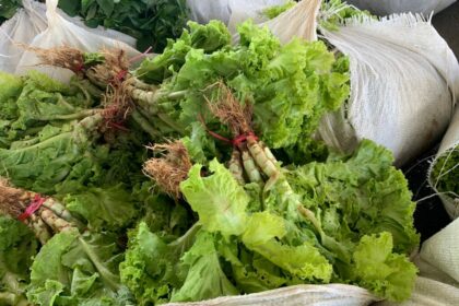 Sepror entrega cerca de 40 mil quilos de alimentos para entidades socioassistenciais de Manaus