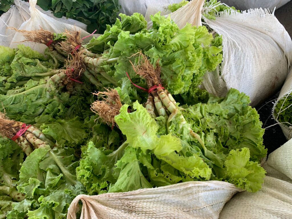 Sepror entrega cerca de 40 mil quilos de alimentos para entidades socioassistenciais de Manaus