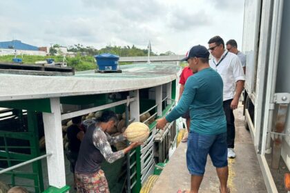 ADS facilita o escoamento de 8 toneladas de jerimum através do Programa Balcão de Agronegócios