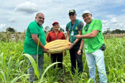 Governo do Amazonas faz avaliações de capacidade produtiva de agricultores para negociação por meio do Balcão de Agronegócios
