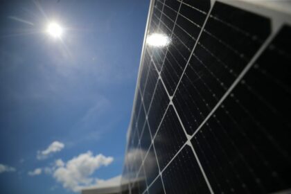 Governo do Amazonas, em parceria com a WWF, promove seminário para debater a transição energética nos municípios