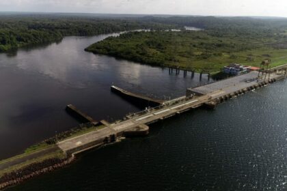 Pesquisa apoiada pelo Governo do Amazonas analisa adaptação de peixe ao ecossistema aquático de Balbina