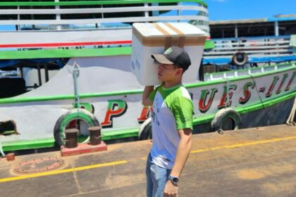 Idam envia primeira remessa de vacinas contra febre aftosa a seis municípios amazonenses