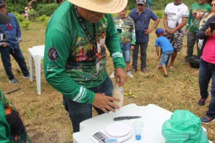 Em São Sebastião do Uatumã, excursão de produtores rurais a plantios de café reúne mais de 100 participantes