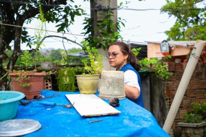 Dados atualizados de arboviroses no informe epidemiológico