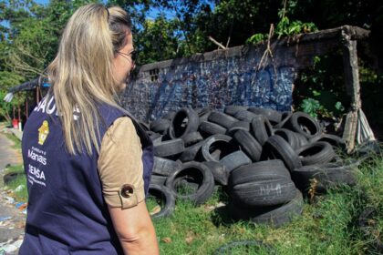 Prefeitura divulga nova edição do boletim de arboviroses
