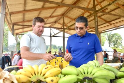 No Dia Mundial da Agricultura, deputado João Luiz destaca que destinou mais de R$ 2 milhões ao setor durante os mandatos