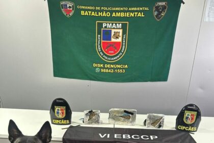 Base Arpão 2: Drogas avaliadas em R$ 270 mil são apreendidas no município de Barcelos