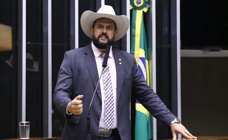 Projeto destina cavalos vítimas de maus-tratos para centros de equoterapia